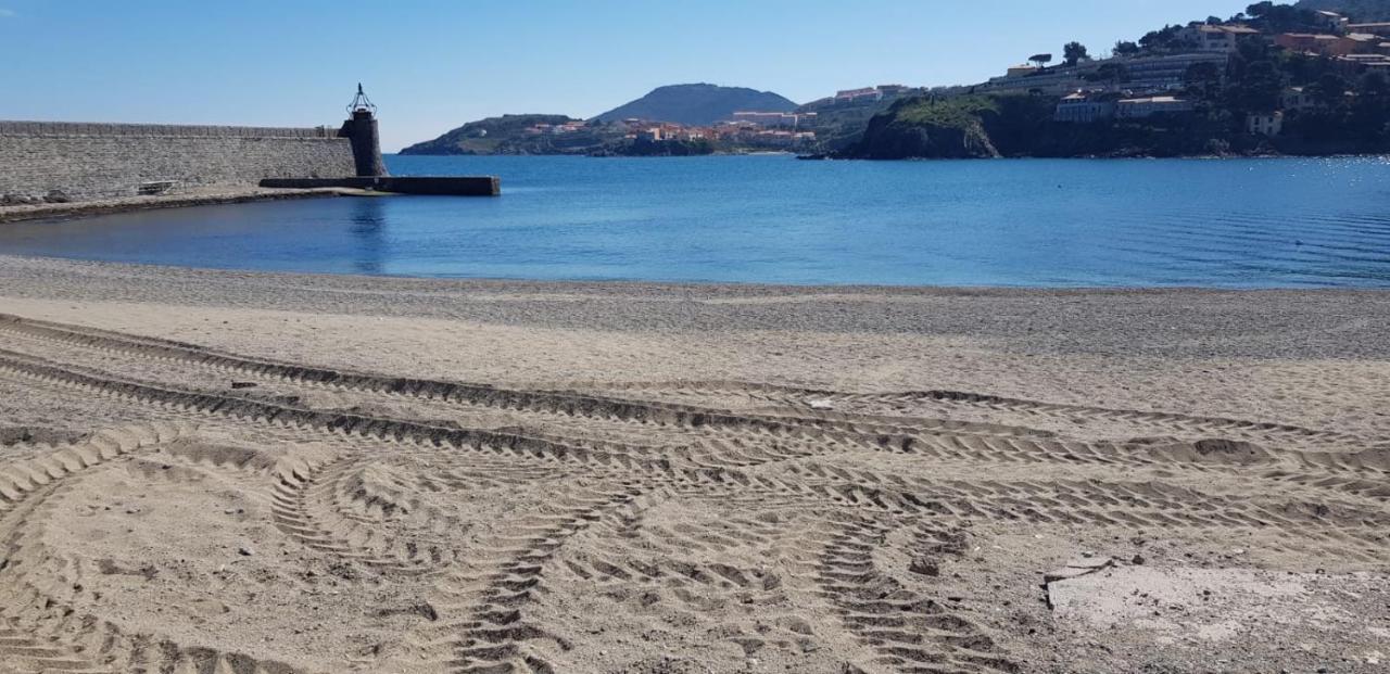 Studio Centre Plage Parking Gratuit Collioure Zewnętrze zdjęcie