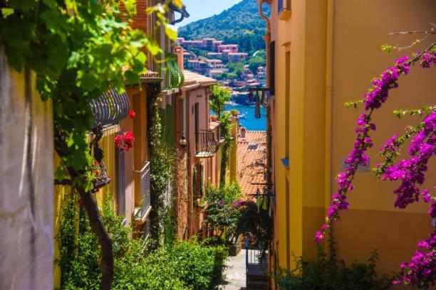 Studio Centre Plage Parking Gratuit Collioure Zewnętrze zdjęcie