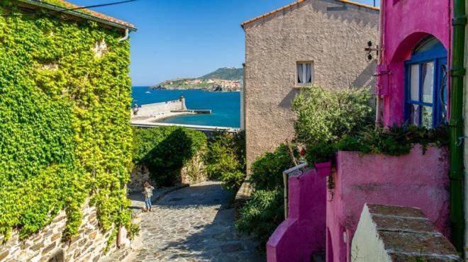 Studio Centre Plage Parking Gratuit Collioure Zewnętrze zdjęcie