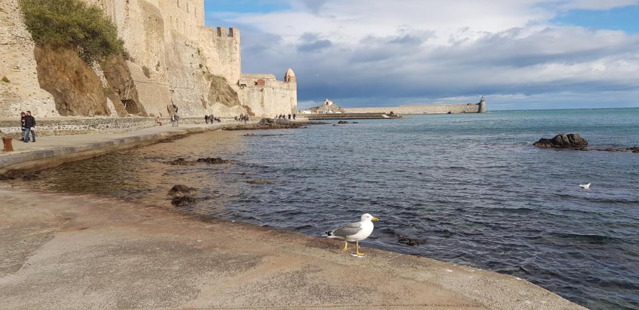 Studio Centre Plage Parking Gratuit Collioure Zewnętrze zdjęcie